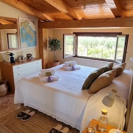 L'oasi Degli Dei - Loft In Con Piscina Terrazza E Vista Mare 500 M From - Free Parking And Wifi Apartment